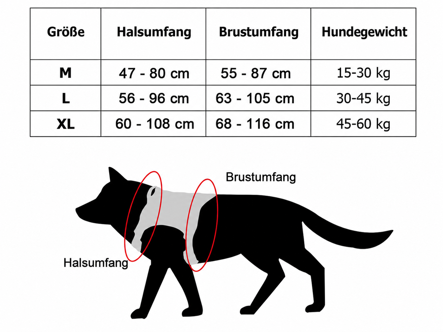 Hundegeschirr mit Leine - Gemacht für starke Hunde und echte Abenteuer!