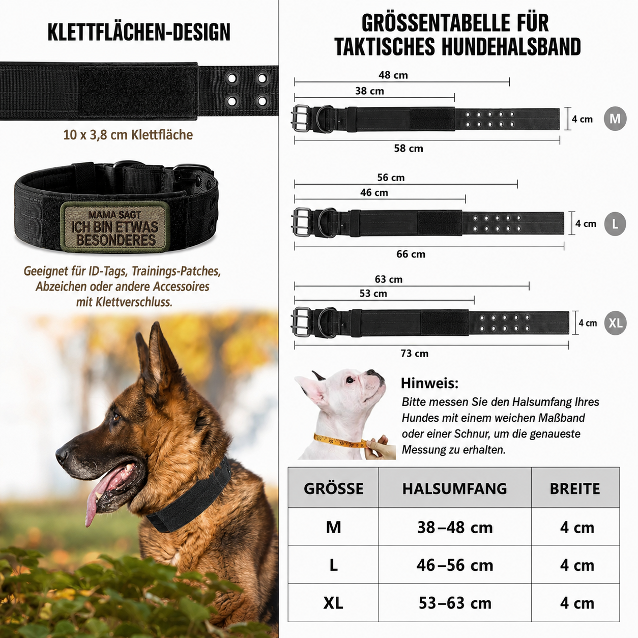 Hundegeschirr mit Leine - Gemacht für starke Hunde und echte Abenteuer!