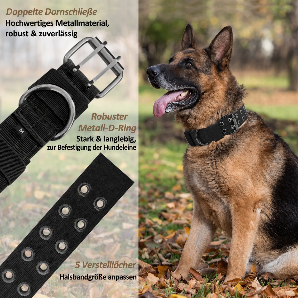Hundegeschirr mit Leine - Gemacht für starke Hunde und echte Abenteuer!