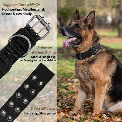 Hundegeschirr mit Leine - Gemacht für starke Hunde und echte Abenteuer!