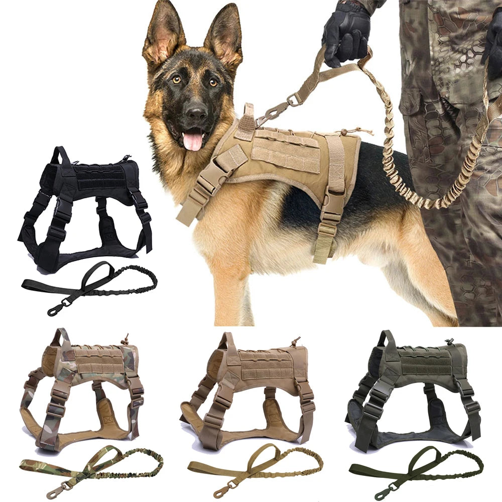 Hundegeschirr mit Leine - Gemacht für starke Hunde und echte Abenteuer!
