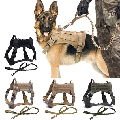 Hundegeschirr mit Leine - Gemacht für starke Hunde und echte Abenteuer!