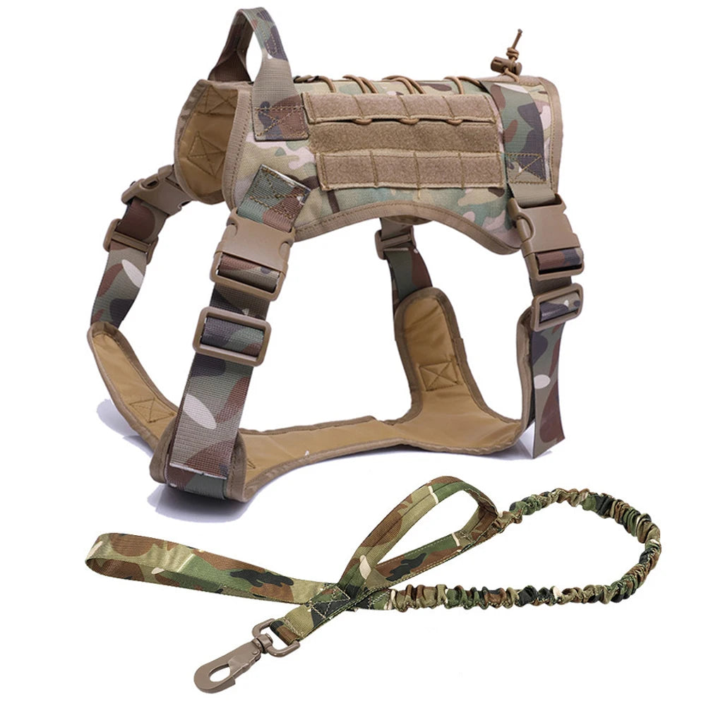 Hundegeschirr mit Leine - Gemacht für starke Hunde und echte Abenteuer!